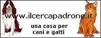 Ilcercapadrone