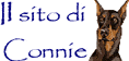 Il sito di Connie