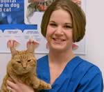 Veterinario con gatto
