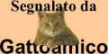 Gattoamico