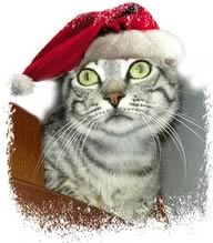 Gatto di natale